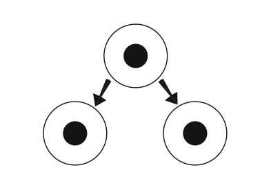 Image:Anatomy and physiology of animals-cell division mitosis.jpg